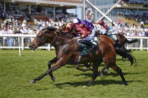 NEWBURY, ENGLAND - JULY 17: Sean Levey riding Gubbass (maroon) win The Weatherbys Super Sprint Stakes at Newbury Racecourse on July 17, 2021 in Newbury, England. Due to the Coronavirus pandemic, only owners along with a limited number of the paying public will be allowed to attend the meeting. (Photo by Alan Crowhurst/Getty Images)