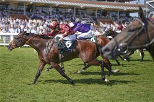 NEWBURY, ENGLAND - JULY 17: Sean Levey riding Gubbass (maroon) win The Weatherbys Super Sprint Stakes at Newbury Racecourse on July 17, 2021 in Newbury, England. Due to the Coronavirus pandemic, only owners along with a limited number of the paying public will be allowed to attend the meeting. (Photo by Alan Crowhurst/Getty Images)
