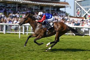 NEWBURY, ENGLAND - JULY 17: Hector Crouch riding Declared Interest win The Whitsbury Manor Stud Supporting The British EBF Premier Fillies' Handicap at Newbury Racecourse on July 17, 2021 in Newbury, England. Due to the Coronavirus pandemic, only owners along with a limited number of the paying public will be allowed to attend the meeting. (Photo by Alan Crowhurst/Getty Images)