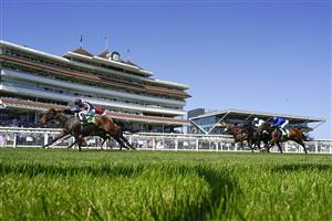 NEWBURY, ENGLAND - JULY 17: Sean Levey riding Happy Romance (dark blue cap) win The bet365 Hackwood Stakes at Newbury Racecourse on July 17, 2021 in Newbury, England. Due to the Coronavirus pandemic, only owners along with a limited number of the paying public will be allowed to attend the meeting. (Photo by Alan Crowhurst/Getty Images)