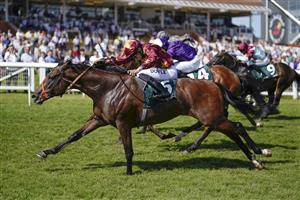 NEWBURY, ENGLAND - JULY 17: Sean Levey riding Gubbass (maroon) win The Weatherbys Super Sprint Stakes at Newbury Racecourse on July 17, 2021 in Newbury, England. Due to the Coronavirus pandemic, only owners along with a limited number of the paying public will be allowed to attend the meeting. (Photo by Alan Crowhurst/Getty Images)