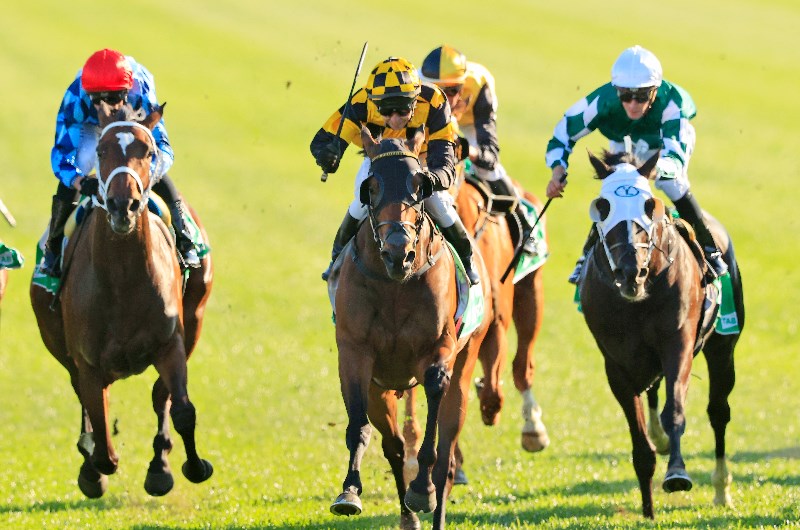 Epsom Handicap Odds