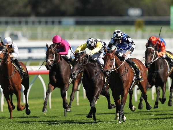 Wyong Tips