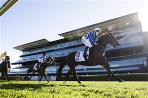 SYDNEY, AUSTRALIA - JULY 17: Josh Parr on Steely wins race 7 the ACY Securities Handicap during Sydney Racing at Royal Randwick Racecourse on July 17, 2021 in Sydney, Australia. (Photo by Mark Evans/Getty Images)