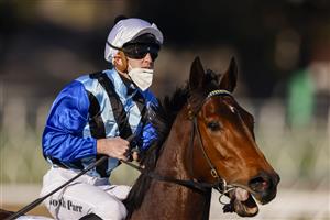 SYDNEY, AUSTRALIA - JULY 17: Josh Parr on Steely returns to scale after winning race 7 the ACY Securities Handicap during Sydney Racing at Royal Randwick Racecourse on July 17, 2021 in Sydney, Australia. (Photo by Mark Evans/Getty Images)