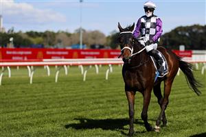 SYDNEY, AUSTRALIA - JULY 17: Brenton Avdulla on Fastconi returns to scale after winning race 3 the Agency Real Estate Handicap during Sydney Racing at Royal Randwick Racecourse on July 17, 2021 in Sydney, Australia. (Photo by Mark Evans/Getty Images)
