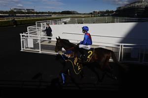SYDNEY, AUSTRALIA - JULY 17: An empty racecourse is seen as Kerrin McEvoy on War Eternal makes his way onto the track before the running of race 1 the Schweppes Handicap during Sydney Racing at Royal Randwick Racecourse on July 17, 2021 in Sydney, Australia. (Photo by Mark Evans/Getty Images)
