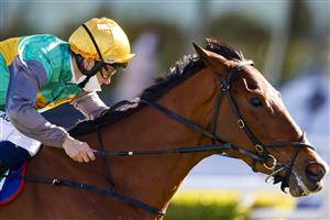 SYDNEY, AUSTRALIA - JULY 17: Tim Clark on La Chevalee wins race 4 the City Tattersalls Club Handicap during Sydney Racing at Royal Randwick Racecourse on July 17, 2021 in Sydney, Australia. (Photo by Mark Evans/Getty Images)