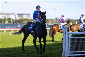 SYDNEY, AUSTRALIA - JULY 17: Tommy Berry on Criminal Code returns to scale after winning race 5 the Elite Sand & Soil Handicap during Sydney Racing at Royal Randwick Racecourse on July 17, 2021 in Sydney, Australia. (Photo by Mark Evans/Getty Images)