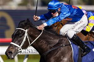 SYDNEY, AUSTRALIA - JULY 17: Tommy Berry on Criminal Code wins race 5 the Elite Sand & Soil Handicap during Sydney Racing at Royal Randwick Racecourse on July 17, 2021 in Sydney, Australia. (Photo by Mark Evans/Getty Images)