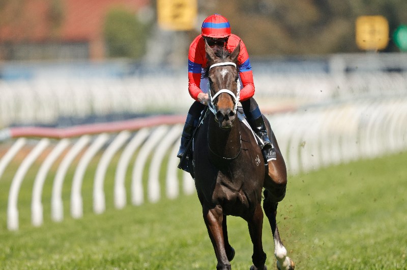 George Main Stakes Odds