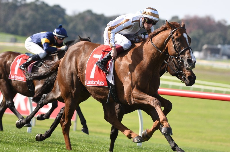 Sandown Betting Tips