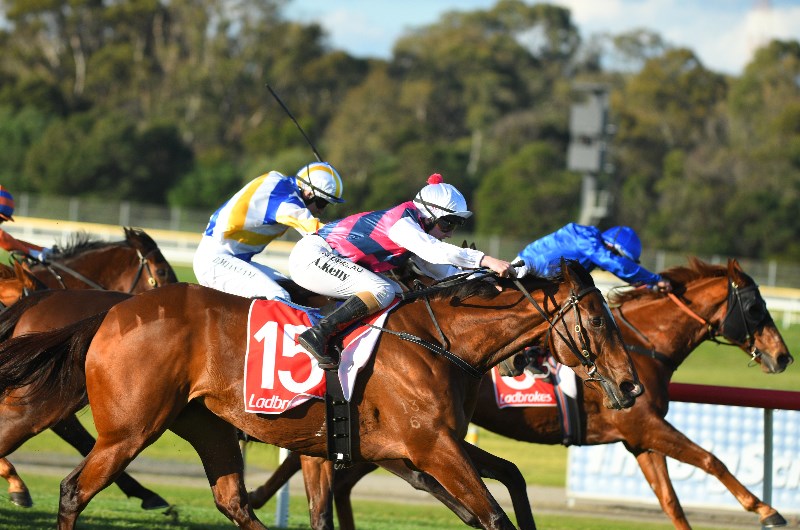 Sandown Betting Tips