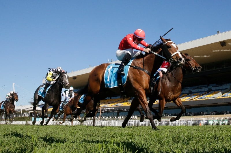 Tommy Berry Jockey Markets