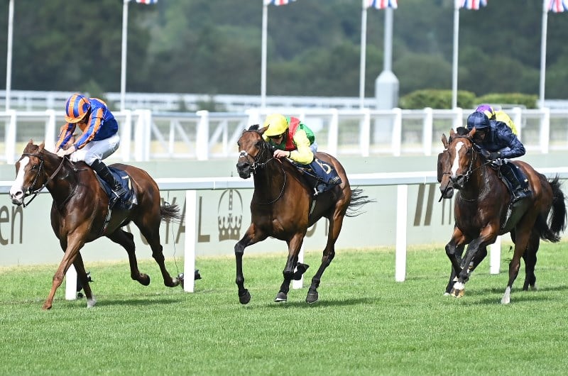love ascot