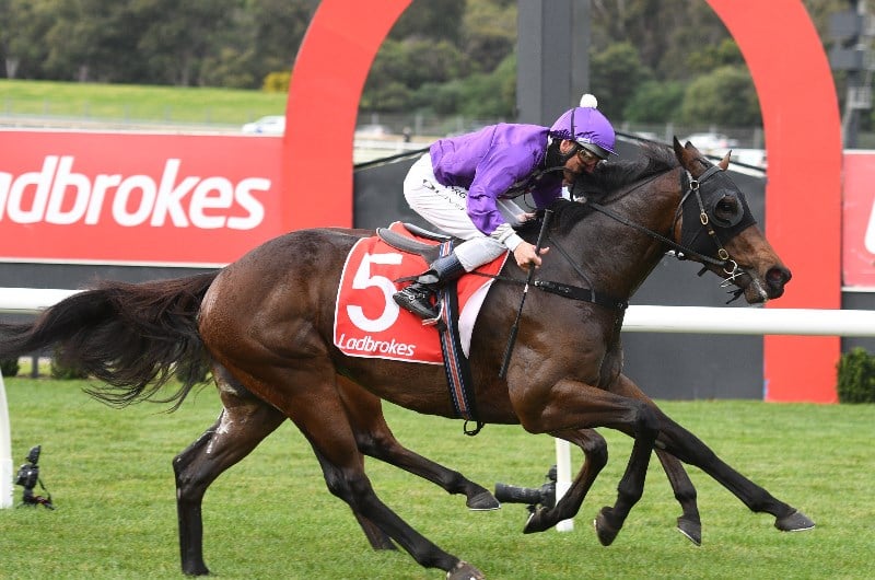 Damien Oliver Jockey Market