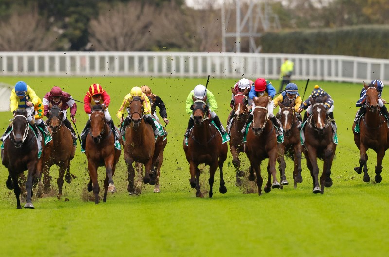 Rosehill Tips for 24.07.2021