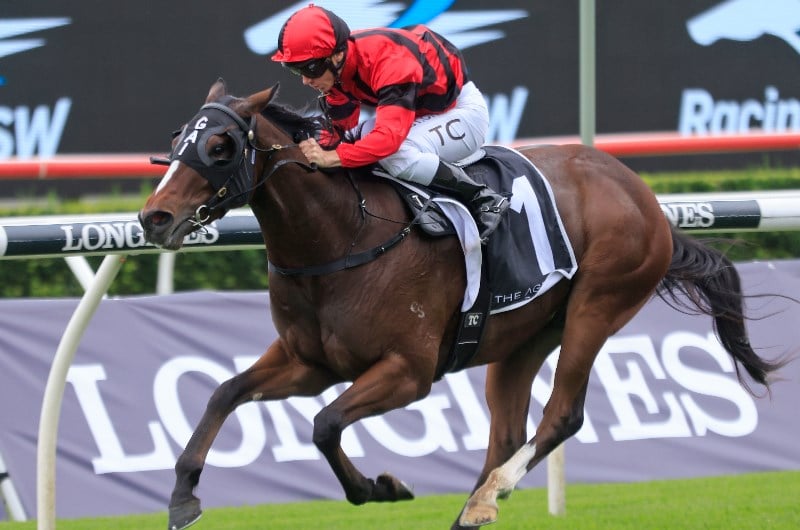 Victoria Derby Odds