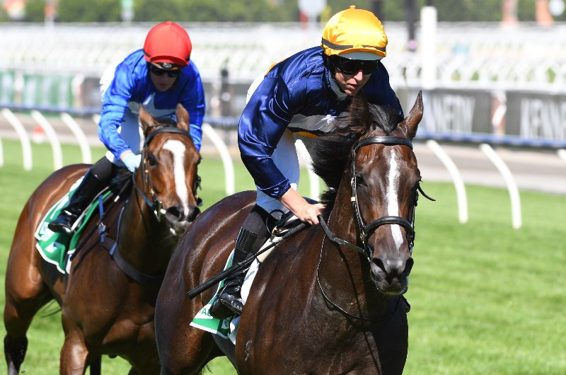 Caulfield Betting Tips