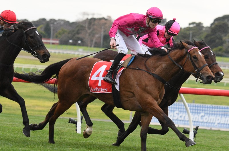 Mildura Betting Tips