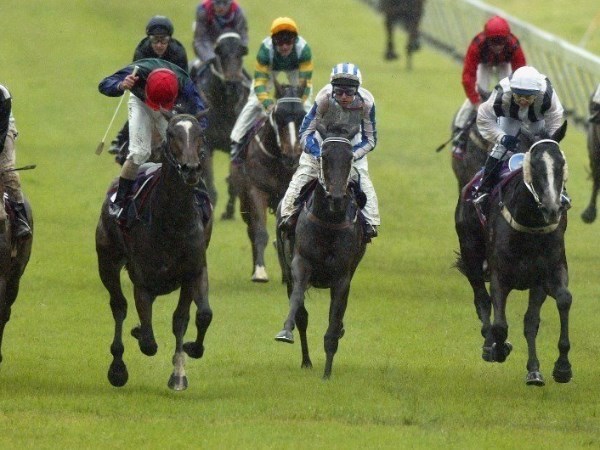 Morphettville Tips for 15.05.2021