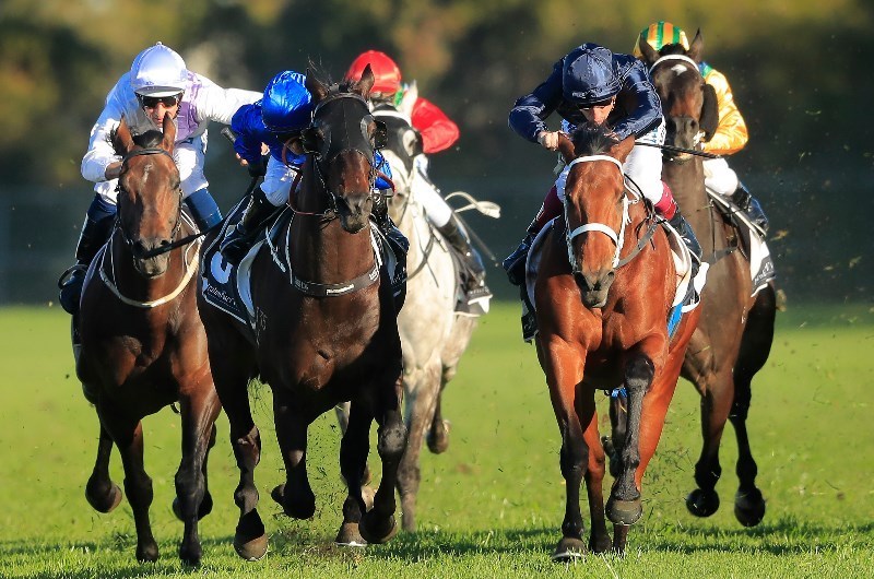 Tamworth Racing Tips for 03.12.2019