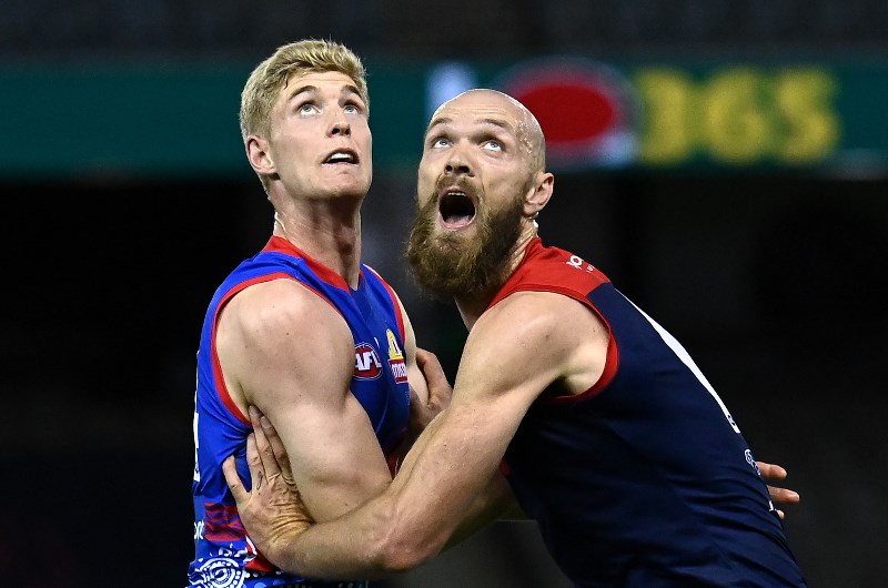 demons bulldogs