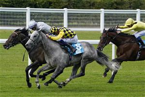 ASCOT, ENGLAND - JULY 23: David Probert riding Alfred Boucher (yellow/black check) win The John Guest Racing Handicap at Ascot Racecourse on July 23, 2021 in Ascot, England. (Photo by Alan Crowhurst/Getty Images)