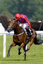 ASCOT, ENGLAND - JULY 23: Oisin Murphy riding Dreamloper win The British Racecourses Join Sunflower Lanyard Scheme Valiant Stakes at Ascot Racecourse on July 23, 2021 in Ascot, England. (Photo by Alan Crowhurst/Getty Images)