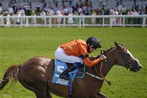 ASCOT, ENGLAND - JULY 23: William Buick riding Speedo Boy win The John Guest Racing Brown Jack Handicap at Ascot Racecourse on July 23, 2021 in Ascot, England. (Photo by Alan Crowhurst/Getty Images)