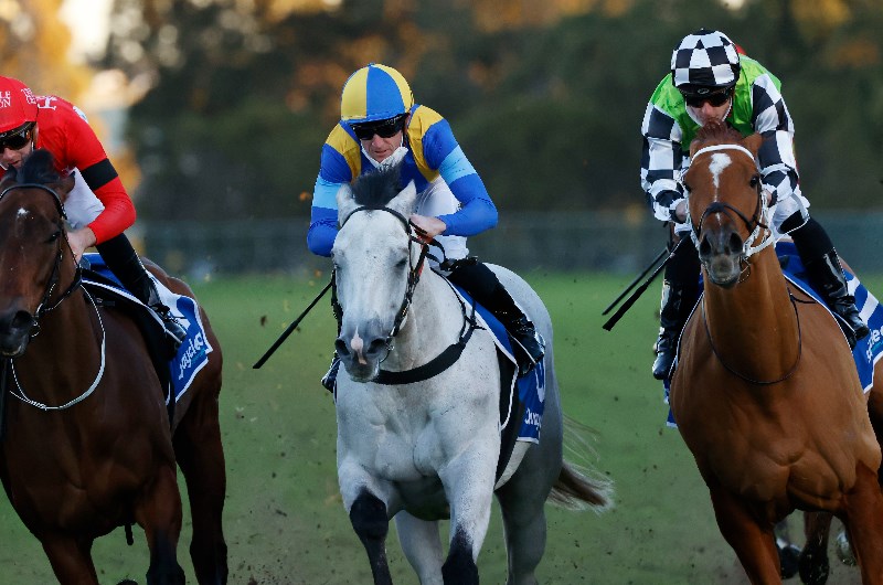 Big Bets results from 24.07.2021