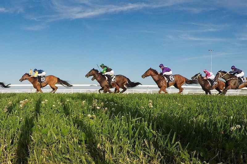 taree tips for 12.05.2020