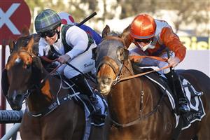 SYDNEY, AUSTRALIA - JULY 24: Brock Ryan on Cuban Royale wins race 9 the Agency Real Estate Handicap during Sydney Racing at Rosehill Gardens on July 24, 2021 in Sydney, Australia. (Photo by Mark Evans/Getty Images)