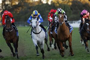 SYDNEY, AUSTRALIA - JULY 24: Josh Parr on Frosty Rocks wins race 10 the Quayclean Handicap during Sydney Racing at Rosehill Gardens on July 24, 2021 in Sydney, Australia. (Photo by Mark Evans/Getty Images)