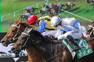 SYDNEY, AUSTRALIA - JULY 24: Brock Ryan on So Say You (white cap) wins race 2 the TAB Highway Class 3 Plate during Sydney Racing at Rosehill Gardens on July 24, 2021 in Sydney, Australia. (Photo by Mark Evans/Getty Images)