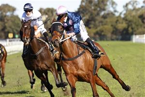 SYDNEY, AUSTRALIA - JULY 24: Brock Ryan on No Compromise wins race 5 the Schweppes Handicap during Sydney Racing at Rosehill Gardens on July 24, 2021 in Sydney, Australia. (Photo by Mark Evans/Getty Images)