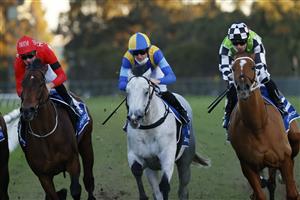 SYDNEY, AUSTRALIA - JULY 24: Josh Parr on Frosty Rocks wins race 10 the Quayclean Handicap during Sydney Racing at Rosehill Gardens on July 24, 2021 in Sydney, Australia. (Photo by Mark Evans/Getty Images)