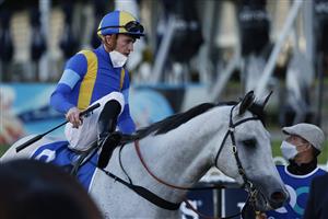 SYDNEY, AUSTRALIA - JULY 24: Josh Parr on Frosty Rocks returns to scale after winning race 10 the Quayclean Handicap during Sydney Racing at Rosehill Gardens on July 24, 2021 in Sydney, Australia. (Photo by Mark Evans/Getty Images)