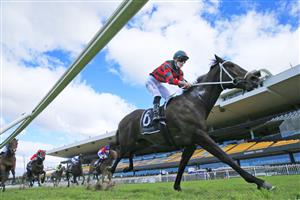 SYDNEY, AUSTRALIA - JULY 24: James McDonald on Yiyi wins race 3 the Bowermans Commercial Furniture Handicap during Sydney Racing at Rosehill Gardens on July 24, 2021 in Sydney, Australia. (Photo by Mark Evans/Getty Images)