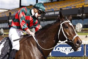 SYDNEY, AUSTRALIA - JULY 24: James McDonald on Yiyi returns to scale after winning race 3 the Bowermans Commercial Furniture Handicap during Sydney Racing at Rosehill Gardens on July 24, 2021 in Sydney, Australia. (Photo by Mark Evans/Getty Images)