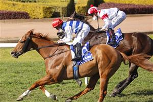 SYDNEY, AUSTRALIA - JULY 24: Brock Ryan on Chat wins race 4 the Hyland Race Colours July Sprint from Kerrin McEvoy on All Time Legend during Sydney Racing at Rosehill Gardens on July 24, 2021 in Sydney, Australia. (Photo by Mark Evans/Getty Images)