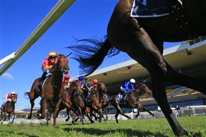 SYDNEY, AUSTRALIA - JULY 24: The field chases winner Tim Clark on Silent Impact (R) in race 1 the Elite Sand & Soil Handicap during Sydney Racing at Rosehill Gardens on July 24, 2021 in Sydney, Australia. (Photo by Mark Evans/Getty Images)