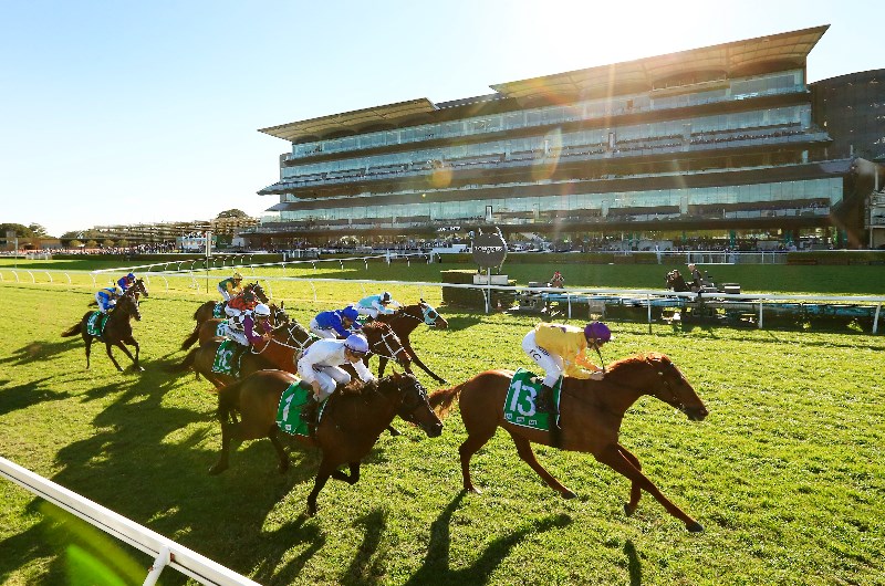 randwick kensington tips for 28.07.2021
