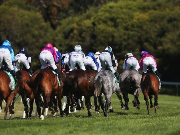 Gawler Tips