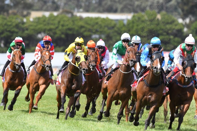 Northam tips for 18.06.2020