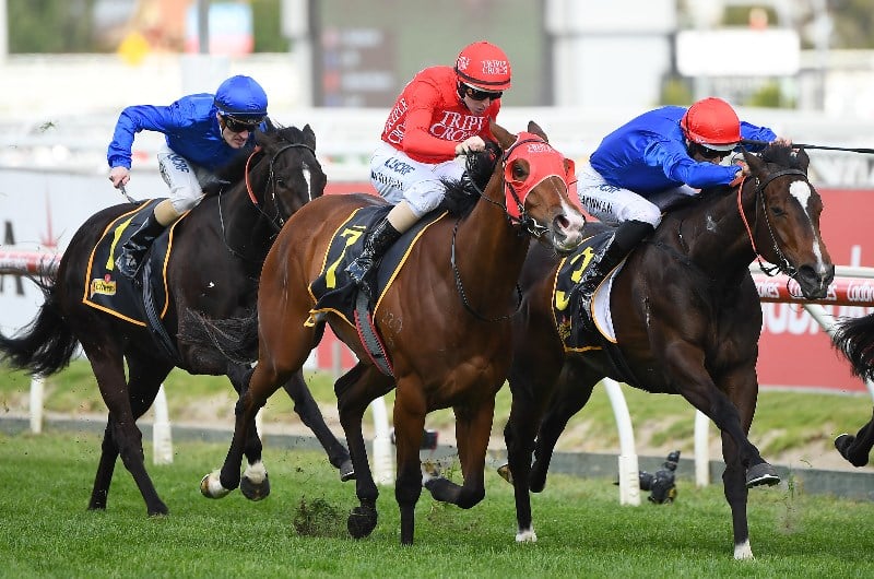 Thousand Guineas Odds