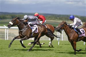 CHICHESTER, ENGLAND - JULY 28: Daniel Tudhope riding Last Empire (grey) win The Whispering Angel Oak Tree Stakes during the Qatar Goodwood Festival at Goodwood Racecourse on July 28, 2021 in Chichester, England. (Photo by Alan Crowhurst/Getty Images)
