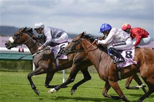 CHICHESTER, ENGLAND - JULY 28: Daniel Tudhope riding Last Empire (grey) win The Whispering Angel Oak Tree Stakes during the Qatar Goodwood Festival at Goodwood Racecourse on July 28, 2021 in Chichester, England. (Photo by Alan Crowhurst/Getty Images)