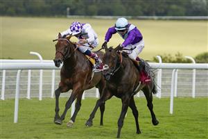 CHICHESTER, ENGLAND - JULY 28: Oisin Murphy riding Alcohol Free (R) win The Qatar Sussex Stakes from Poetic Flare and Kevin Manning (L) during the Qatar Goodwood Festival at Goodwood Racecourse on July 28, 2021 in Chichester, England. (Photo by Alan Crowhurst/Getty Images)
