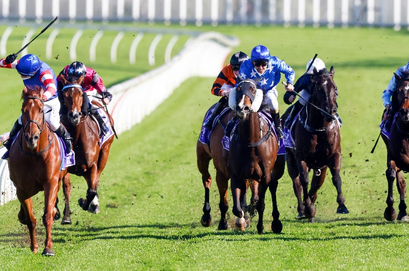 Randwick Tips for 31.07.2021